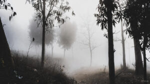 Jharkhand Weather Today