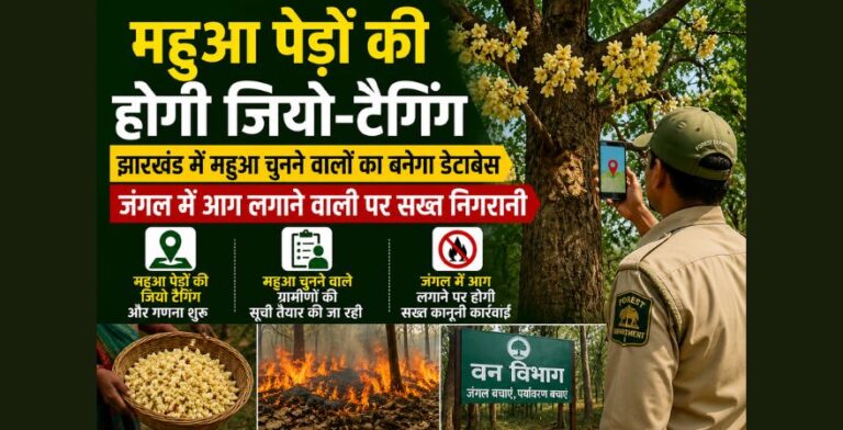 झारखंड में जंगलों को आग से बचाने के लिए वन विभाग ने नई पहल शुरू की है।