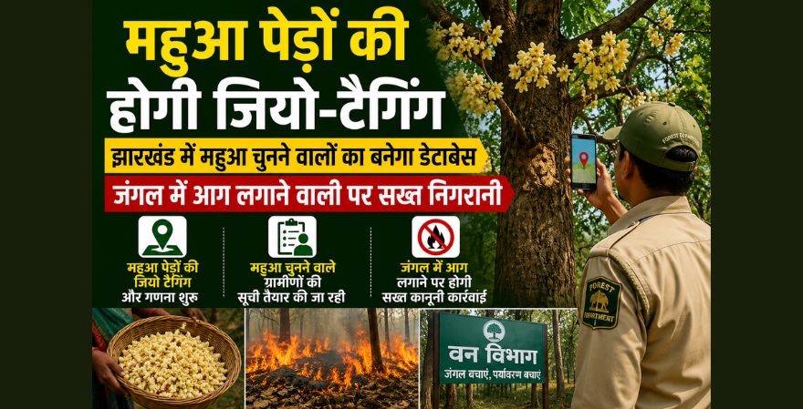 झारखंड में जंगलों को आग से बचाने के लिए वन विभाग ने नई पहल शुरू की है।