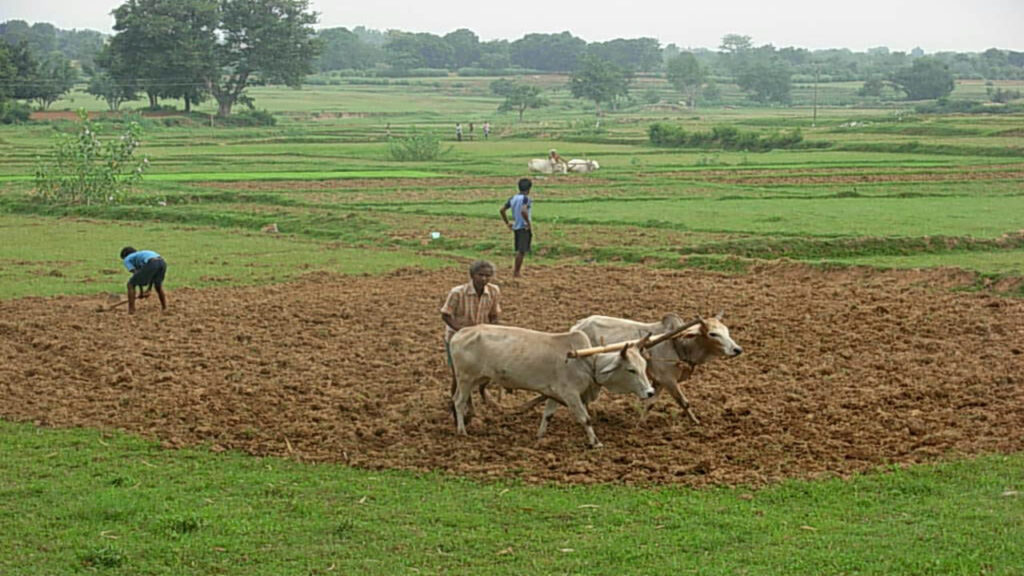 agriculture jharkhand gov in new registration